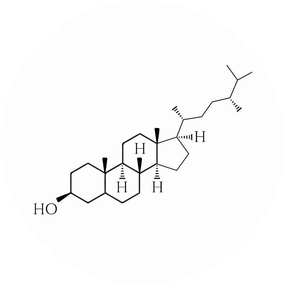 acide hylorunique