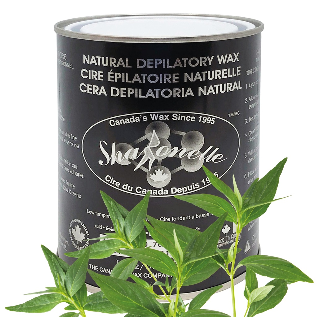 [230-300-TEE] SHARONELLE® Soft Wax Tea Tree 18 oz *SPECIAL PRICE ON THE PURCHASE OF 24 & MORE*